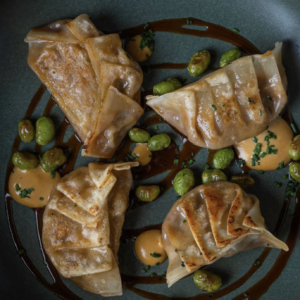 Gyozas Pollo